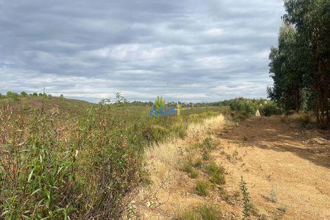 Helårsgrund i Castelo Branco, Castelo Branco, Castelo Branco - € 150.000 | Ref: 126007 - foto 29