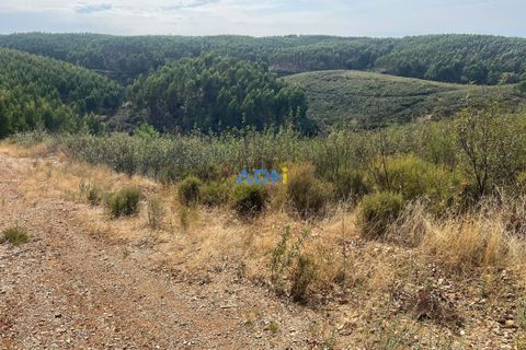 Helårsgrund i Castelo Branco, Castelo Branco, Castelo Branco - € 150.000 | Ref: 126007 - foto 30