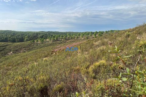 Helårsgrund i Castelo Branco, Castelo Branco, Castelo Branco - € 150.000 | Ref: 126007 - foto 33