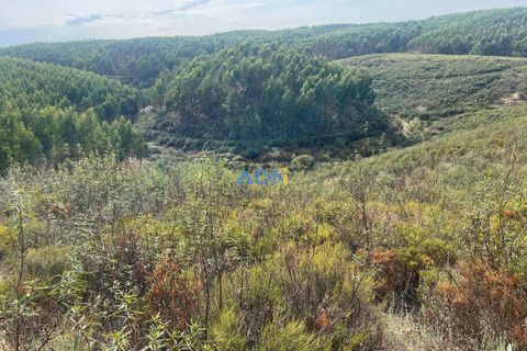 Helårsgrund i Castelo Branco, Castelo Branco, Castelo Branco - € 150.000 | Ref: 126007 - foto 34