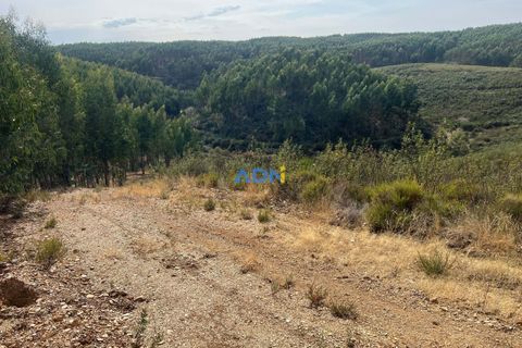 Helårsgrund i Castelo Branco, Castelo Branco, Castelo Branco - € 150.000 | Ref: 126007 - foto 35