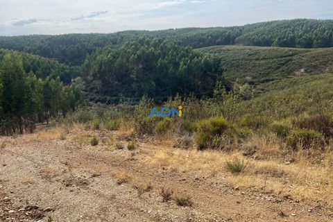 Helårsgrund i Castelo Branco, Castelo Branco, Castelo Branco - € 150.000 | Ref: 126007 - foto 36