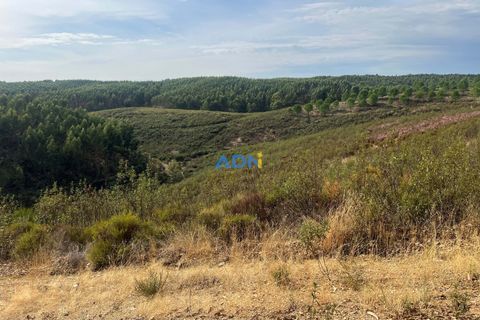 Helårsgrund i Castelo Branco, Castelo Branco, Castelo Branco - € 150.000 | Ref: 126007 - foto 37