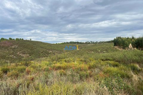 Helårsgrund i Castelo Branco, Castelo Branco, Castelo Branco - € 150.000 | Ref: 126007 - foto 38