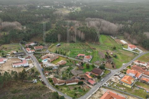 Villa i Cantanhede, Coimbra, Cantanhede - € 55.000 | Ref: LUX_CB-01222 - foto 11
