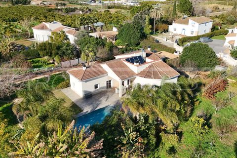 Finca in Pedreguer, Alicante - foto 1