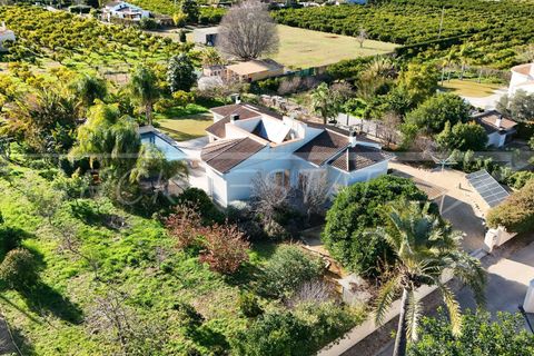 Finca i Pedreguer, Alicante, Pedreguer - € 899.000 | Ref: N-0426 - foto 8