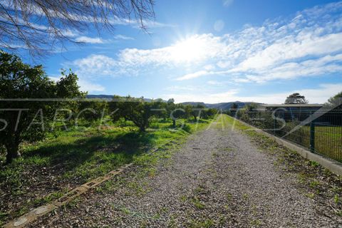Finca i Pedreguer, Alicante, Pedreguer - € 899.000 | Ref: N-0426 - foto 14