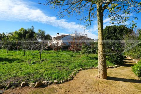 Finca i Pedreguer, Alicante, Pedreguer - € 899.000 | Ref: N-0426 - foto 18