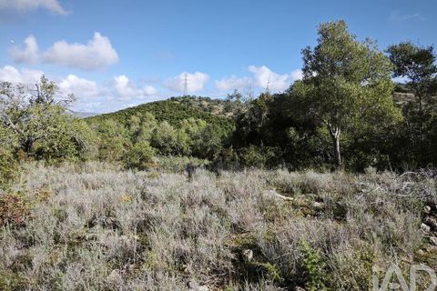 Helårsgrund i Silves, Faro, Silves - € 350.000 | Ref: 795429 - foto 5