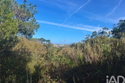 Helårsgrund i Mafra, Lisbon, Mafra - € 78.000 | Ref: 789430 - foto 16