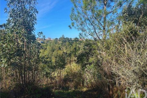 Helårsgrund i Mafra, Lisbon, Mafra - € 78.000 | Ref: 789430 - foto 17