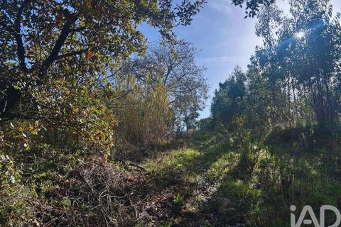 Helårsgrund i Mafra, Lisbon, Mafra - € 78.000 | Ref: 789430 - foto 18