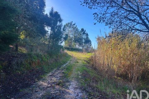 Helårsgrund i Mafra, Lisbon, Mafra - € 78.000 | Ref: 789430 - foto 13
