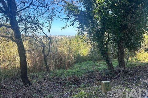 Helårsgrund i Mafra, Lisbon, Mafra - € 78.000 | Ref: 789430 - foto 19