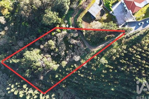 Helårsgrund i Mafra, Lisbon, Mafra - € 78.000 | Ref: 789430 - foto 2