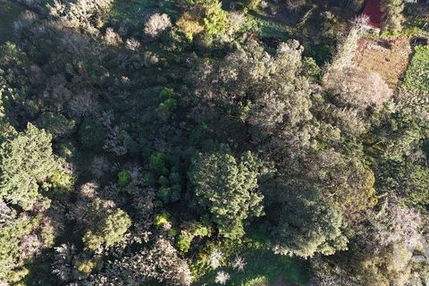 Helårsgrund i Mafra, Lisbon, Mafra - € 78.000 | Ref: 789430 - foto 5