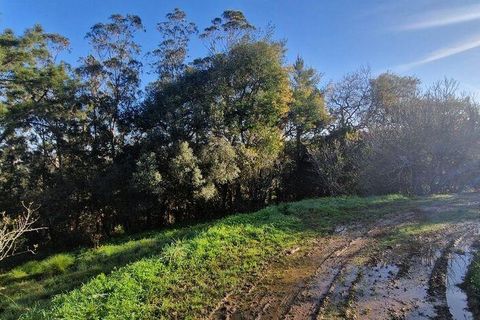 Helårsgrund i Mafra, Lisbon, Mafra - € 78.000 | Ref: 789430 - foto 6