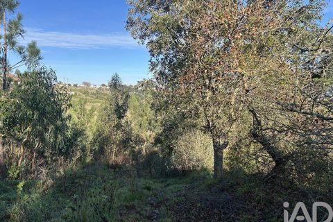 Helårsgrund i Mafra, Lisbon, Mafra - € 78.000 | Ref: 789430 - foto 8