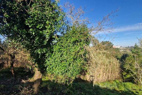 Helårsgrund i Mafra, Lisbon, Mafra - € 78.000 | Ref: 789430 - foto 9