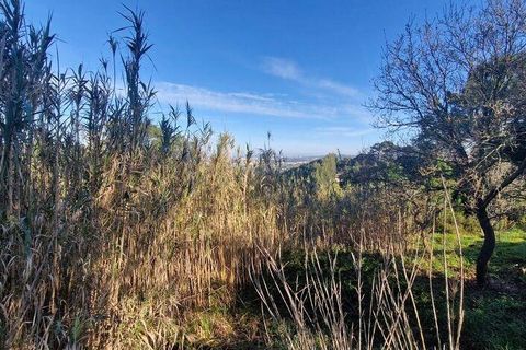 Helårsgrund i Mafra, Lisbon, Mafra - € 78.000 | Ref: 789430 - foto 10