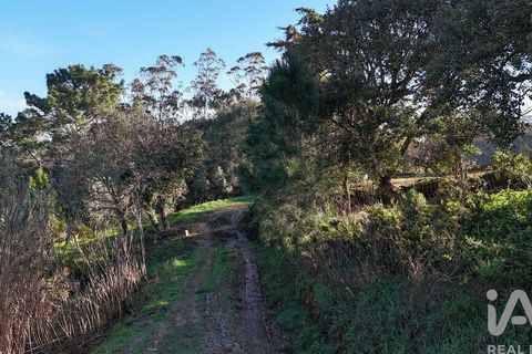 Helårsgrund i Mafra, Lisbon, Mafra - € 78.000 | Ref: 789430 - foto 11