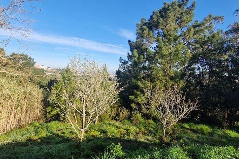 Helårsgrund i Mafra, Lisbon, Mafra - € 78.000 | Ref: 789430 - foto 12