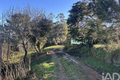Helårsgrund i Mafra, Lisbon, Mafra - € 78.000 | Ref: 789430 - foto 14