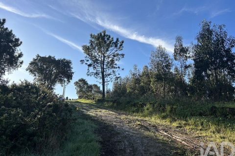Helårsgrund i Mafra, Lisbon, Mafra - € 78.000 | Ref: 789430 - foto 15