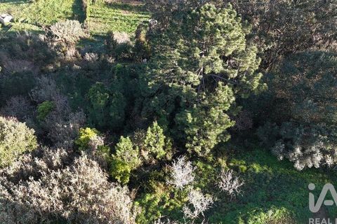 Helårsgrund i Mafra, Lisbon, Mafra - € 78.000 | Ref: 789430 - foto 20