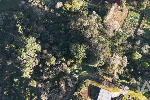 Helårsgrund i Mafra, Lisbon, Mafra - € 78.000 | Ref: 789430 - foto 21