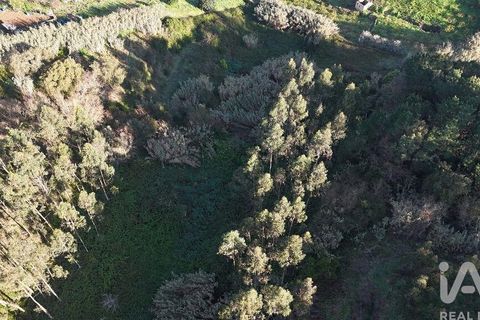 Helårsgrund i Mafra, Lisbon, Mafra - € 78.000 | Ref: 789430 - foto 22