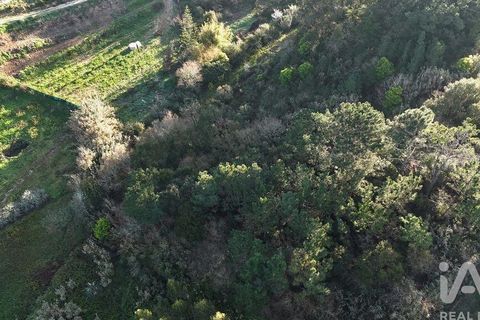 Helårsgrund i Mafra, Lisbon, Mafra - € 78.000 | Ref: 789430 - foto 24