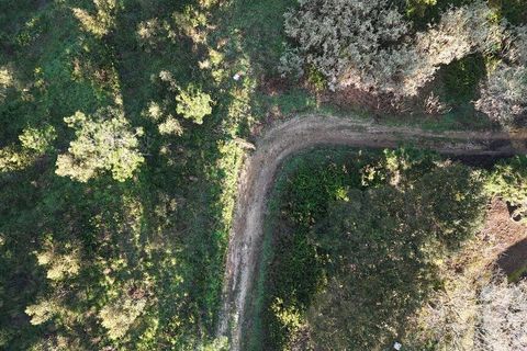 Helårsgrund i Mafra, Lisbon, Mafra - € 78.000 | Ref: 789430 - foto 25
