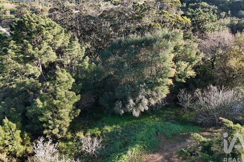 Helårsgrund i Mafra, Lisbon, Mafra - € 78.000 | Ref: 789430 - foto 26