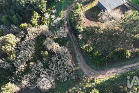 Helårsgrund i Mafra, Lisbon, Mafra - € 78.000 | Ref: 789430 - foto 27