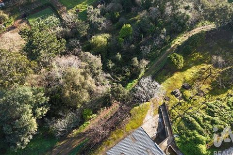 Helårsgrund i Mafra, Lisbon, Mafra - € 78.000 | Ref: 789430 - foto 28