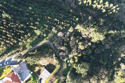 Helårsgrund i Mafra, Lisbon, Mafra - € 78.000 | Ref: 789430 - foto 29