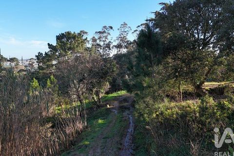 Helårsgrund i Mafra, Lisbon, Mafra - € 78.000 | Ref: 789430 - foto 30