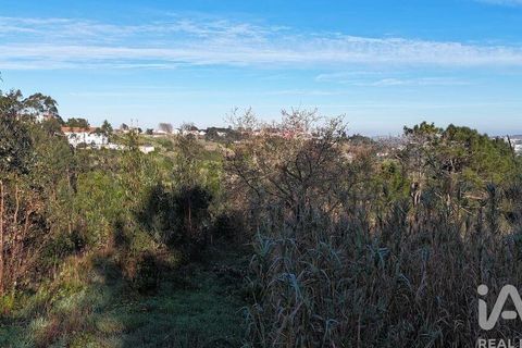 Helårsgrund i Mafra, Lisbon, Mafra - € 78.000 | Ref: 789430 - foto 31