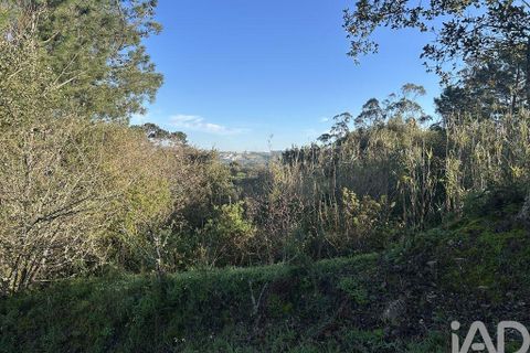 Helårsgrund i Mafra, Lisbon, Mafra - € 78.000 | Ref: 789430 - foto 32