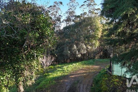 Helårsgrund i Mafra, Lisbon, Mafra - € 78.000 | Ref: 789430 - foto 34
