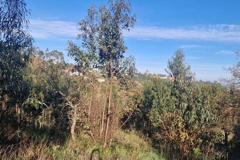 Helårsgrund i Mafra, Lisbon, Mafra - € 78.000 | Ref: 789430 - foto 36