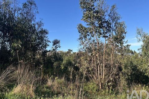 Helårsgrund i Mafra, Lisbon, Mafra - € 78.000 | Ref: 789430 - foto 37