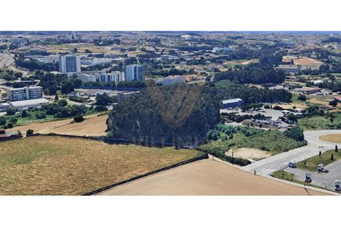 Helårsgrund i Moreira, Porto, Moreira - € 4.000.000 | Ref: V399 - foto 5