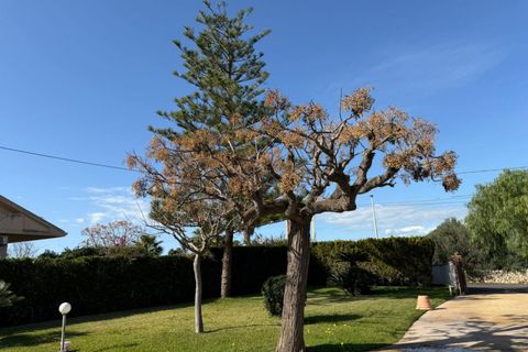 Villa en Modica, Ragusa, Modica - € 350.000 | Ref: L 2155 - photo 28