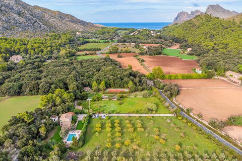 Finca i Pollenca, Mallorca, Pollenca - € 9.000.000 | Ref: FALC-Nep-62403 - foto 2