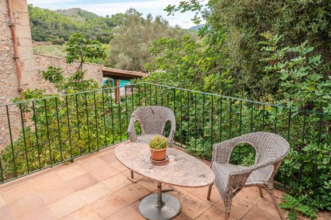 Finca i Pollenca, Mallorca, Pollenca - € 9.000.000 | Ref: FALC-Nep-62403 - foto 30