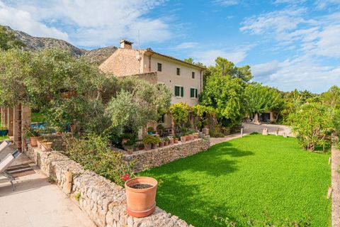 Finca i Pollenca, Mallorca, Pollenca - € 9.000.000 | Ref: FALC-Nep-62403 - foto 34