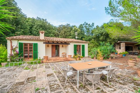 Finca i Pollenca, Mallorca, Pollenca - € 9.000.000 | Ref: FALC-Nep-62403 - foto 35